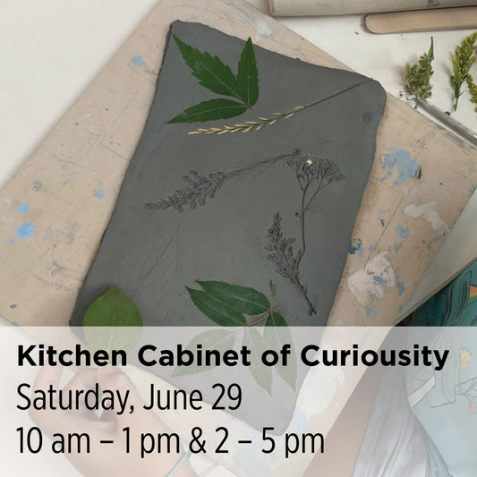 Kitchen Cabinet of Curiousity Workshops