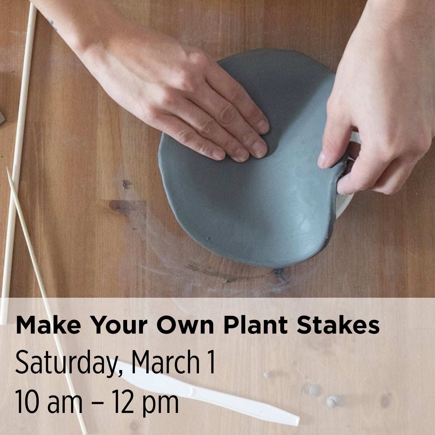 Make Your Own Plant Stakes, 25WX12